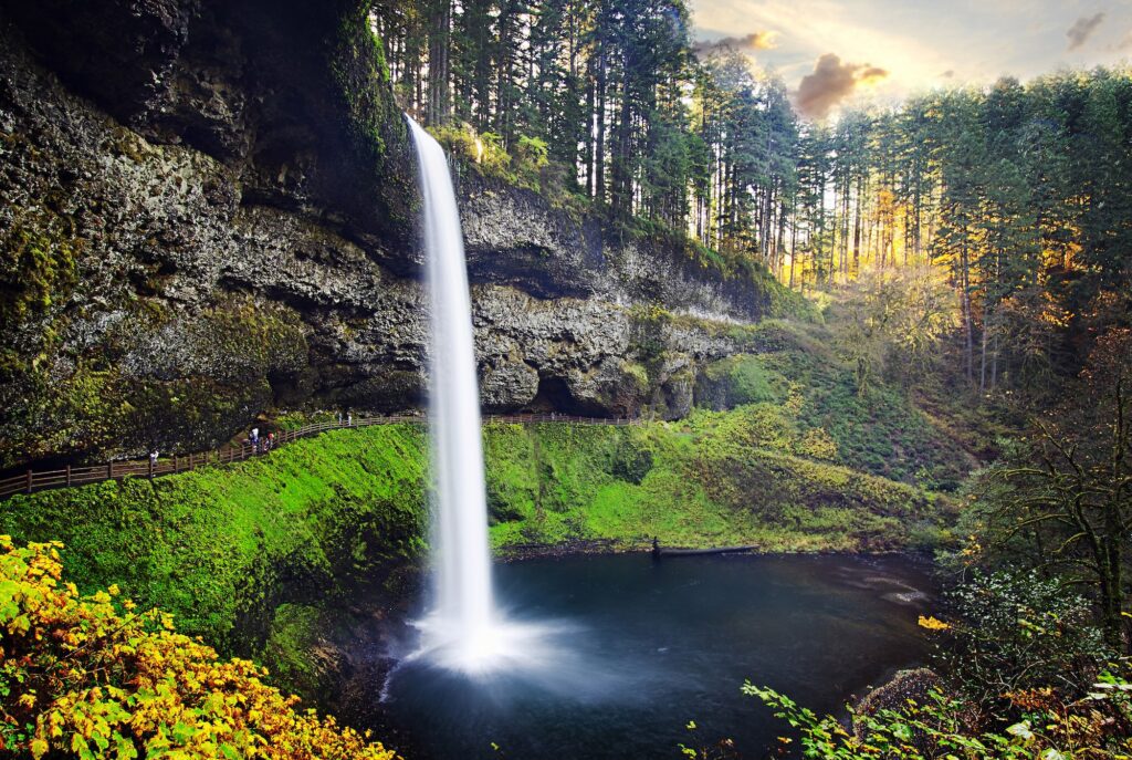 Silver Falls State Park RV Camping