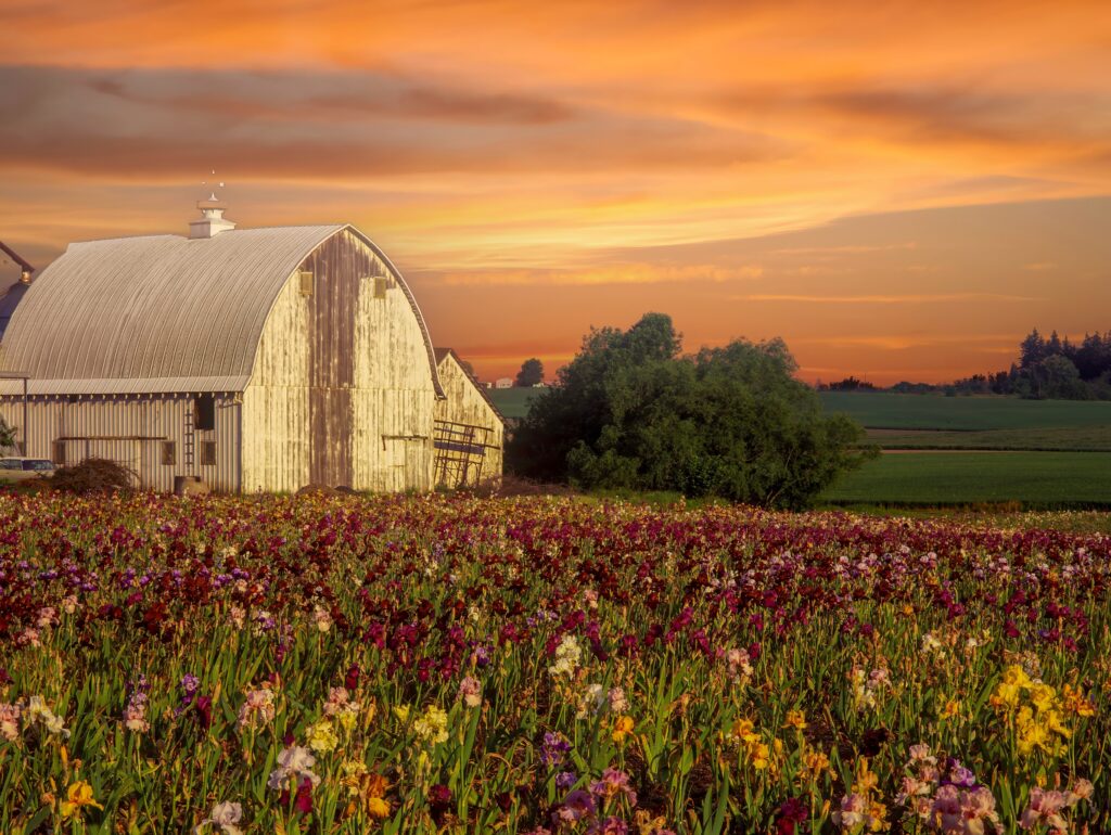 silverton oregon murals